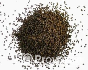 fitted-87_2025-09-29_11-01-59