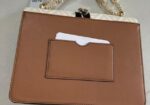 Hand Bags (aldo Band)