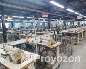 fitted-93_2025-09-02_16-59-41
