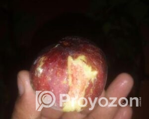 fitted-94_2025-09-20_12-19-23