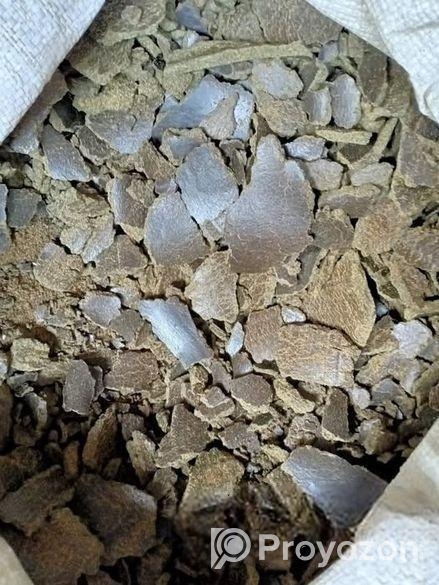সরিষার খৈল বিক্রয় করা হবে