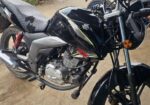 Suzuki GSX 2024