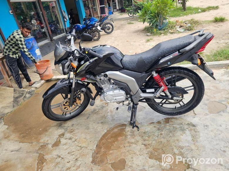 Suzuki GSX 2024
