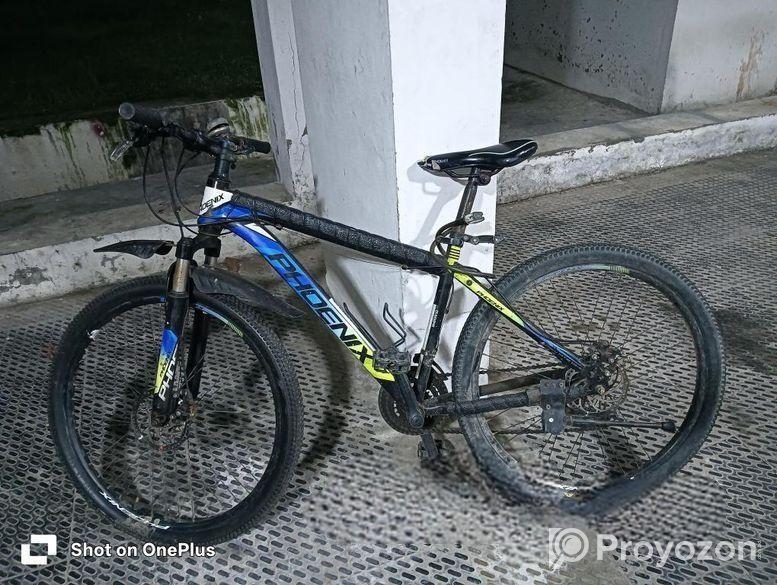Phoenix Bicycle for sale