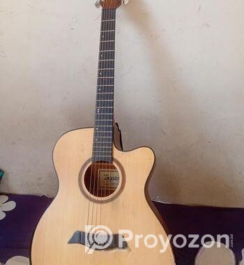 খুব কম দামে Authentic Guiter