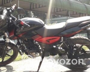 fitted-9_2025-09-20_19-34-34