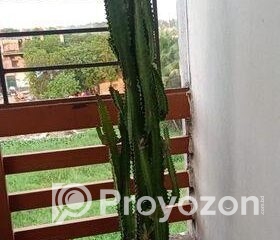 fitted-9_2025-09-25_18-23-35