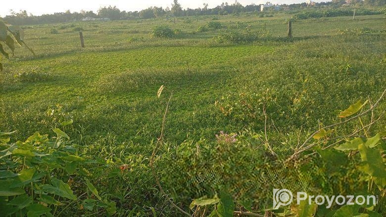 জমি বিক্রয় বিজ্ঞপ্তি