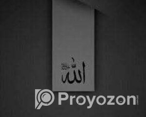 fitted_2025-09-20_22-55-13