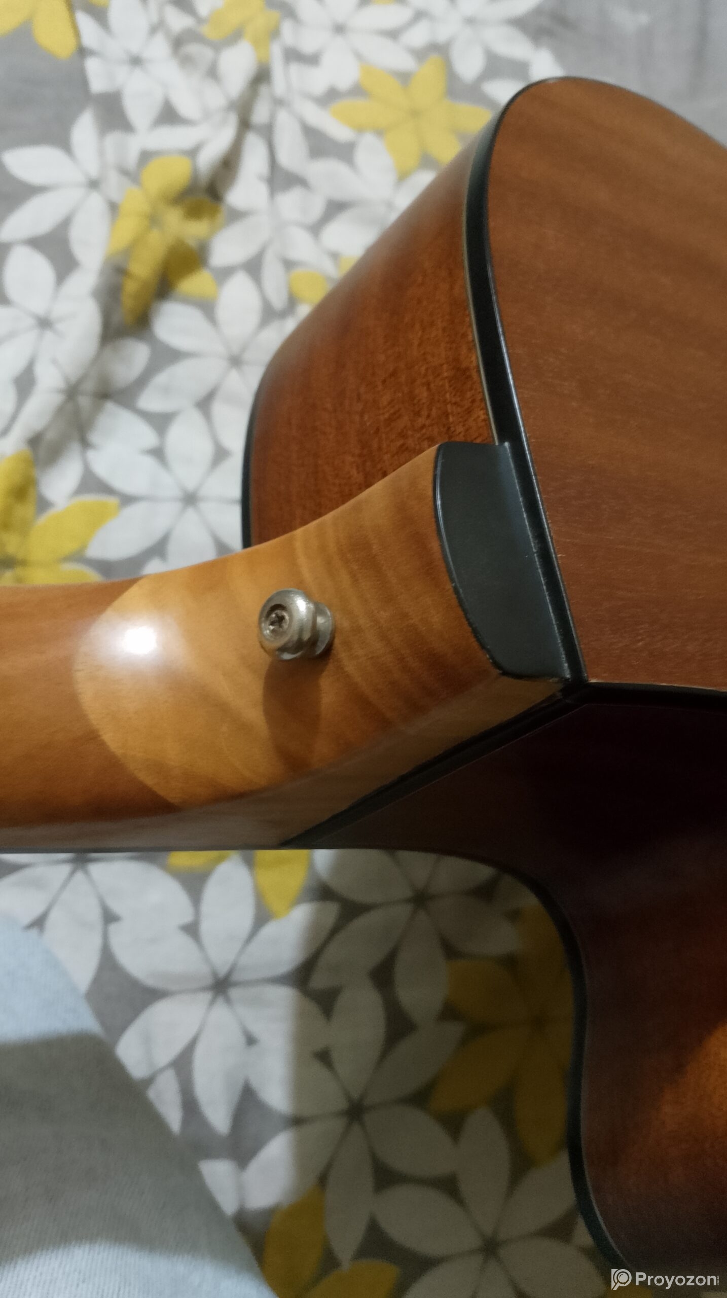Zuodanny Guitar
