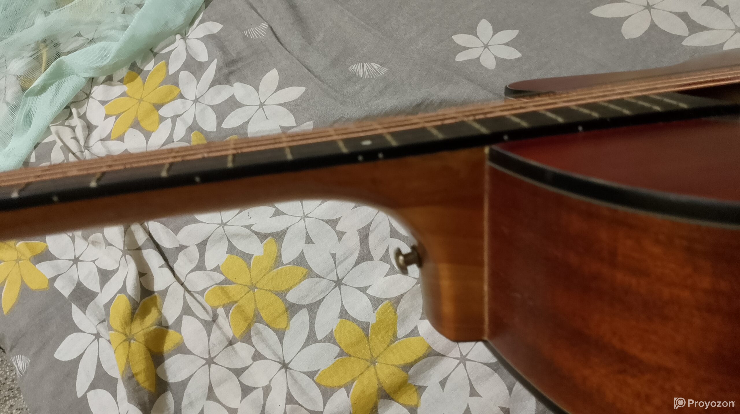 Zuodanny Guitar