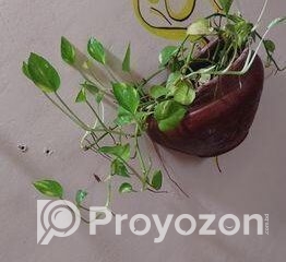 fitted-100_2025-10-05_09-35-04