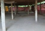 মুরগির ফার্ম