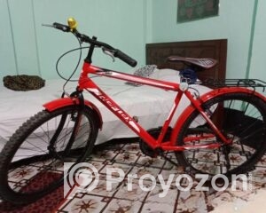 fitted-10_2025-10-20_10-08-04