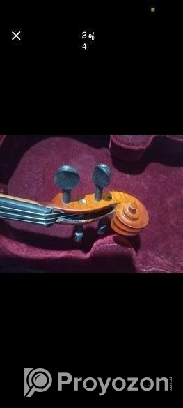 Violin