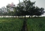 ১৮ কাঠা জমি বিক্রয় করা হইবে
