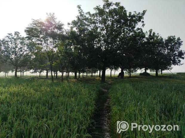 ১৮ কাঠা জমি বিক্রয় করা হইবে