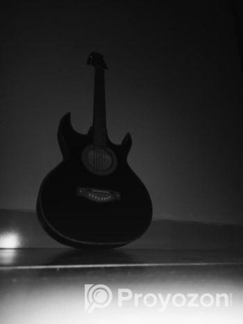 Guitar For Sell