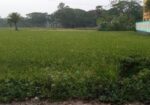 ১০.৫ শতাংশ জায়গা বিক্রয় হবে