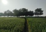 ১৮ কাঠা জমি বিক্রয় করা হইবে