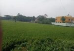 ১০.৫ শতাংশ জায়গা বিক্রয় হবে