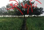 ১৮ কাঠা জমি বিক্রয় করা হইবে