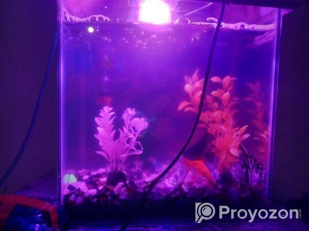 AQURIUM SELL