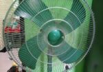 Gfc Fan