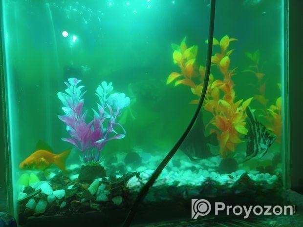 AQURIUM SELL