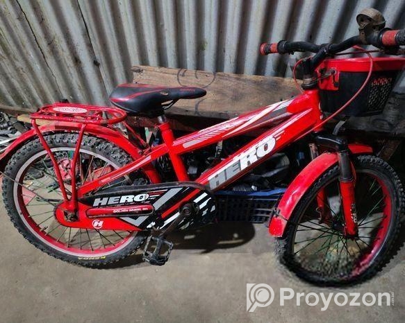 20 inche Bicycle