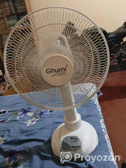 Stand Fan
