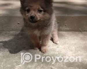 fitted-16_2025-10-27_18-57-33