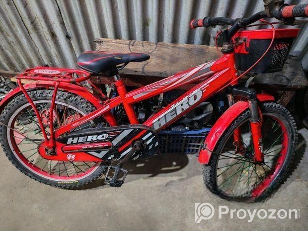 20 inche Bicycle