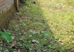 দুই কাঠা আবাসিক জমি বিক্রি হবে।