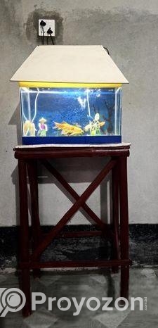 Aquarium Full Setup
