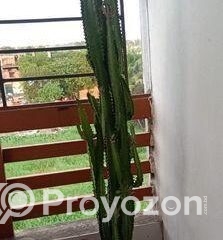 fitted-2025-10-05T094011.857_2025-10-05_09-41-09