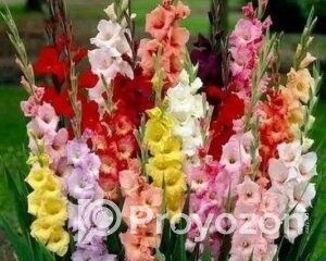 fitted-2025-10-05T094325.215_2025-10-05_09-43-56