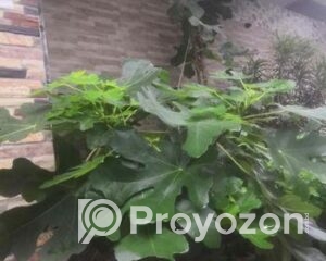 fitted-2025-10-05T094534.077_2025-10-05_09-46-18