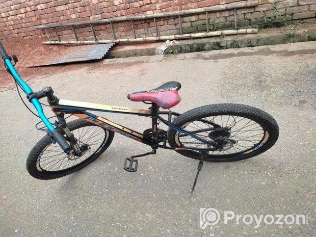 PHOENIX CYCLE