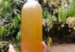 সুন্দরবনের খলিশা ফুলের মধু