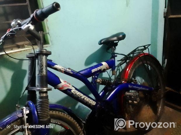 Peerless Bicycle for sale