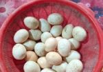 বীজ ডিম