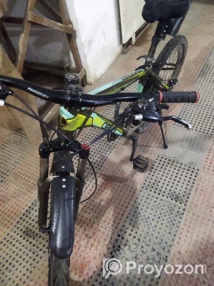 Phoenix Cycle
