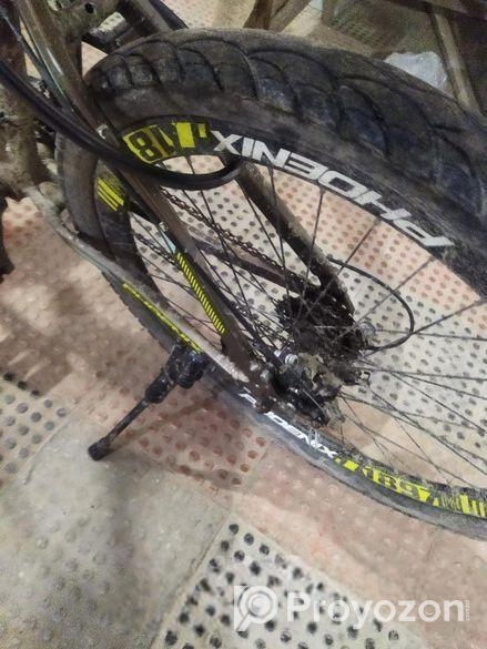 Phoenix Cycle