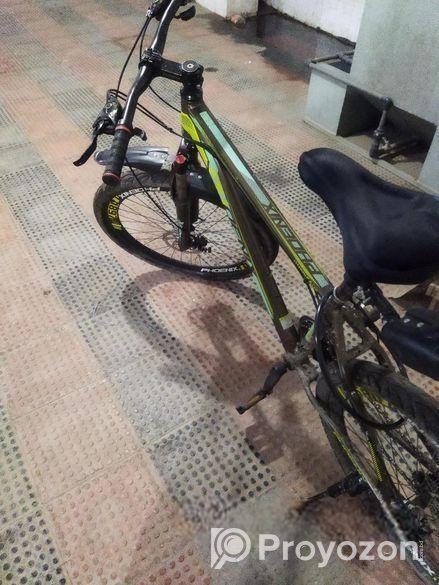 Phoenix Cycle