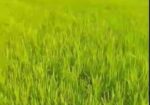 হাইওয়ের পাশে জমি বিক্রয়