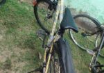Veloce নন গিয়ার নতুন সাইকেল বিক্রয়