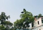 দক্ষিণমুখী ফ্ল্যাট বিক্রয় হবে