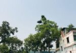দক্ষিণমুখী ফ্ল্যাট বিক্রয় হবে