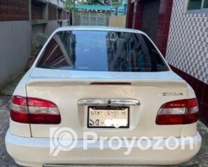 fitted-22_2025-10-20_10-33-10